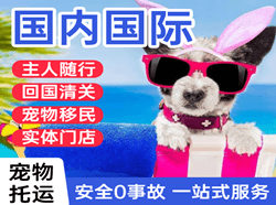 兴义万峰林机场邮寄国际宠物托运 【国